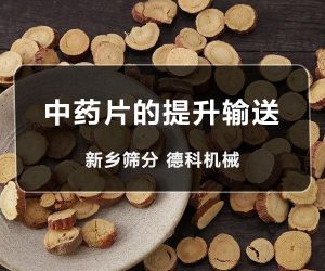 中药片提升机